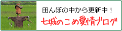 田んぼの中から更新中！七城のこめ愛情ブログ