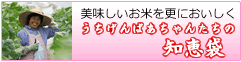 うちげんばあちゃんたちの知恵袋